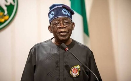 Of Nigerian Youth and President Tinubu’s ‘Winging’ Metaphor