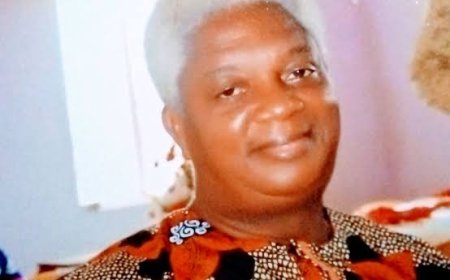 The Genesis, Concept Of Nsukka Journalists' Forum -------- Felix Ogueniofor Abugu