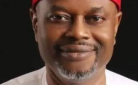 Tinubu Minister, Uche Nnaji's Certificate Fake, Says UNN