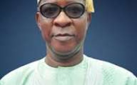 Chime, Ugwuanyi, Dave Nnamani make list to replace former minister, Uche Nnaji