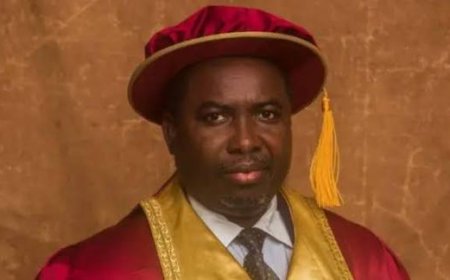 New INEC Chair, Prof. Joash Ojo Amupitan And Fear Of The Unknown
