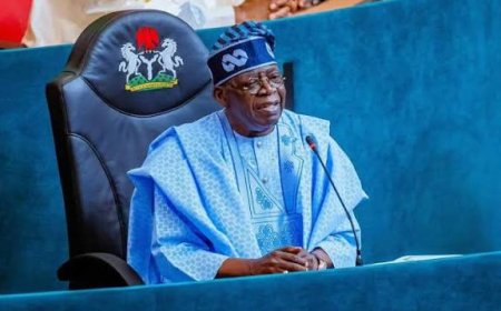 Coup Plotters Planned To Assasinate Tinubu, Shettima, Akpabio