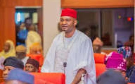 Senator Nwebonyi Dragged To Court Over Derogatory Comments On Natasha Akpoti- Uduaghan