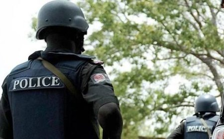 Kaduna Police Confirm Death Of Two Officers In Zonkwa Police Station Attack