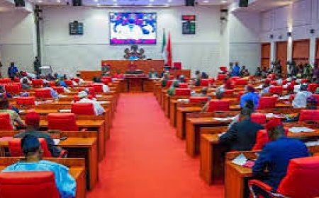 Paedophiles To Face Life Jail As Senate Passes New Bill