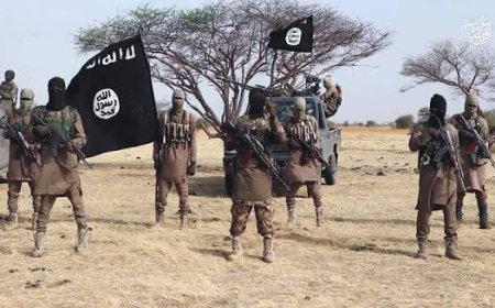 ISWAP plans fresh attacks in Ondo, Kogi — DSS raises alarm