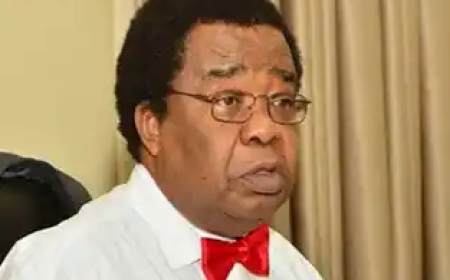 Truth Beyond Grammar: A Rejoinder to Prof. Adam Abba-Aji’s “Critical Appraisal of Mike Arnold’s Findings”