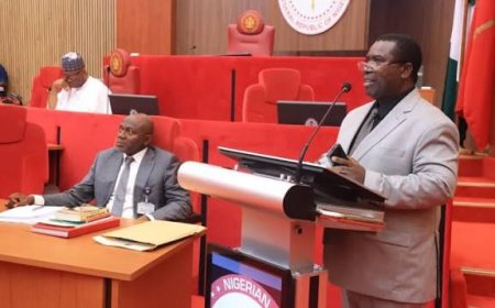 Amupitan’s first misstep as a Square Peg in the INEC Hole