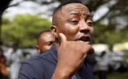 Court Grants Sowore, Nnamdi Kanu’s Lawyer, Brother, Others  ₦500,000 Bail Each