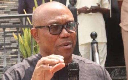 Obi makes a case for Port decentralisation, says it has huge Economic Benefits.