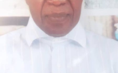 Enugu Customary Court Resolves 60 - year Old Land Dispute