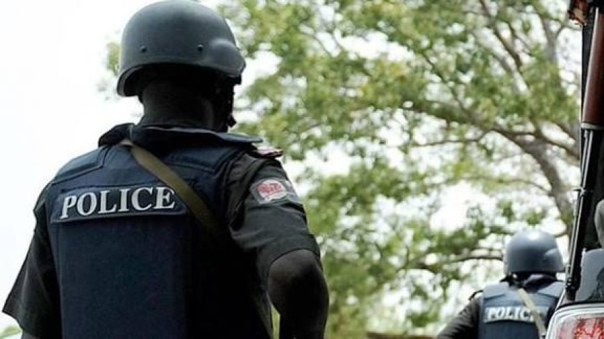 Kaduna Police Confirm Death Of Two Officers In Zonkwa Police Station Attack
