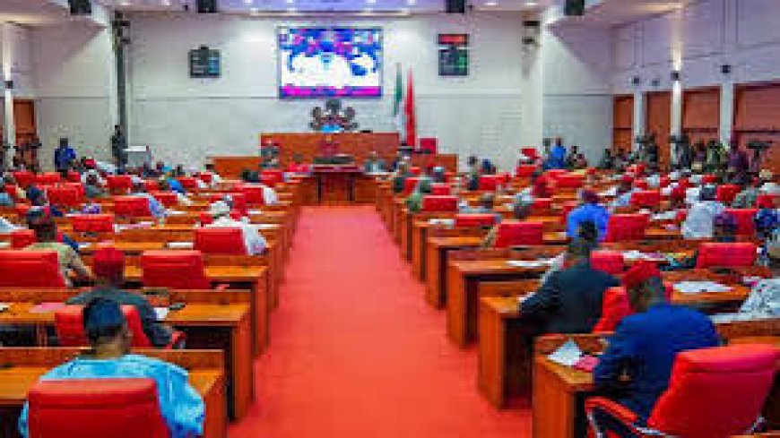 Paedophiles To Face Life Jail As Senate Passes New Bill