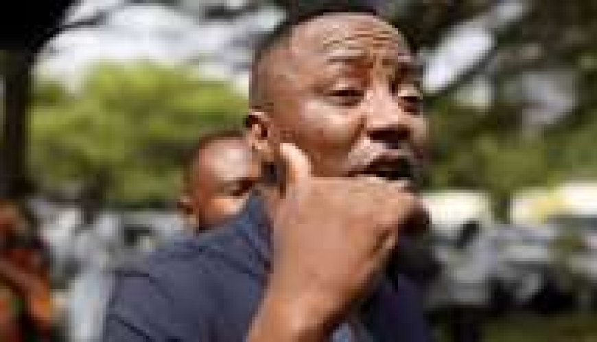 Court Grants Sowore, Nnamdi Kanu’s Lawyer, Brother, Others  ₦500,000 Bail Each