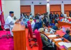 FG To Phase Out Petrol Cars As Electric Vehicles' Bill Passes For Second Reading In Senate