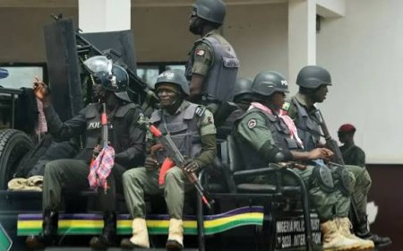 Anambra Governorship: Police Service Commission Monitors Set To Storm State, As Argungu Warns Against Police Misconduct