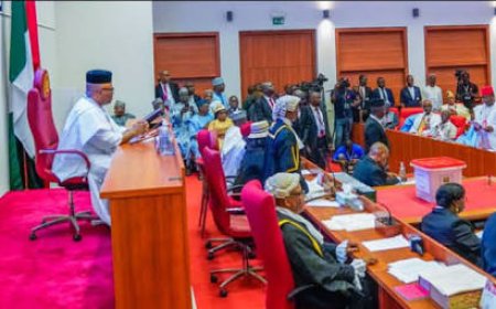 FG To Phase Out Petrol Cars As Electric Vehicles' Bill Passes For Second Reading In Senate