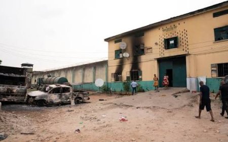 Terror War: Condemned Soldiers, Mobile Policemen Escape From Maimalari Cantonment In Monday Morning Jail Break