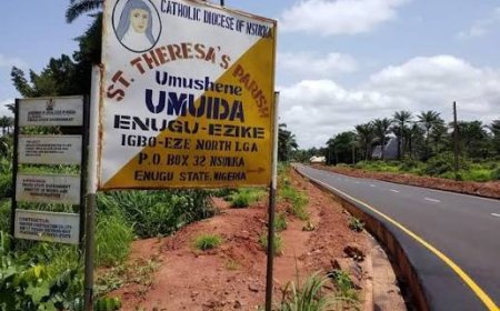 Tension In Enugu Community As Neighbourhood Watch Personnel Teargas Guests, Injure Several Others At Village Ceremony Over Territorial Dispute