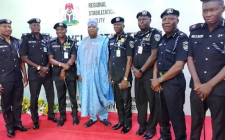 Nigeria's Public Order Act, Other Extant Laws More Liberal Than European, African Countries', Says PSC Chair, Argungu'