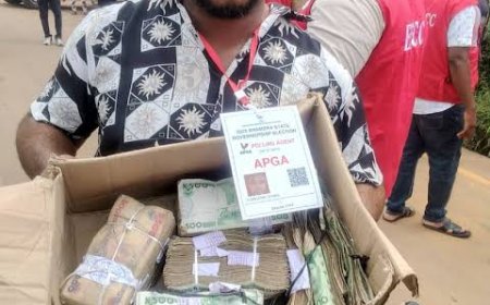 #AnambraDecides2025: Refer sponsors of vote buying to ICPC, EFCC, police, SERAP tells INEC