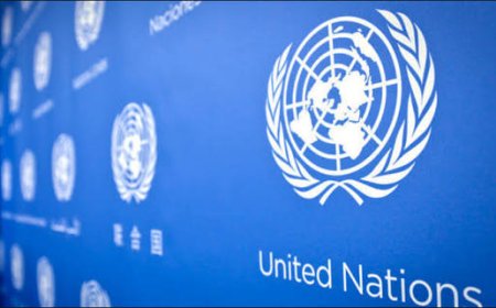 UN flags Nigeria, others as hunger hotspots amid global food emergency