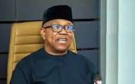 Obi Challenges Editors to Investigate Why Nigeria is Labelled “a Disgraced Nation”