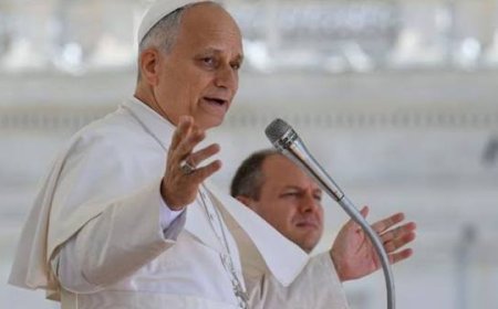 Pope Leo XIV Appeals For Persecuted Christians In Nigeria, Sudan, Bangladesh, DRC, Peace In Ukraine, Abuse survivors, Others