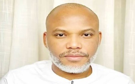 Nnamdi Kanu: Ohanaeze Ndigbo condemns life sentence, insists on political solution