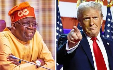 US President, Trump Launches Fresh Attack, Insists, "Nigeria A Disgrace"