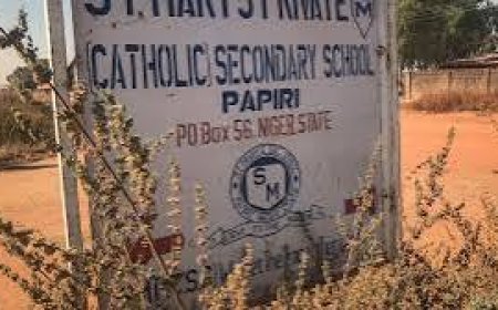 50 Kidnapped Catholic School Students Escape, Re-unite With Families In Niger State Says CAN