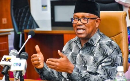 APC Distribution of Campaign Vehicles: Peter Obi decries the continued prioritisation of politics Over Governance 