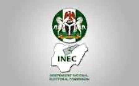 ‘Account for missing N55.9bn meant to buy smart card readers, ballot papers, others’, SERAP tells INEC