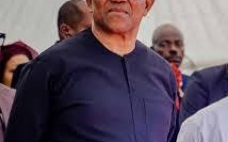 Hirelings at It Again: Obi Never Granted Any Interview to Talk about ADC