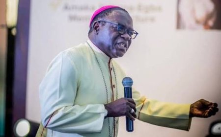 Nigerian Catholic Laity Council Joins Bishops In Condemning Worsening Insecurity, Demands Protection