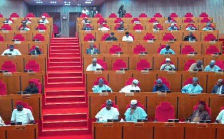 Bow-And-Go: When Senate Ate Intestines of Òkété, (Rat)