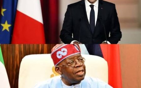 France: The Assimilating Nigeria's 'Tax Collector’