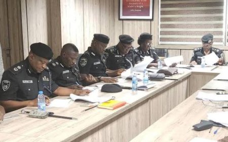 PSC Promotes One To DIG, 7 To AIG, 13 To CP, 30 To DCP; Others To New Ranis