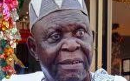 Nigeria’s Insecurity Planned, Not Accidental – Ayo Opadokun