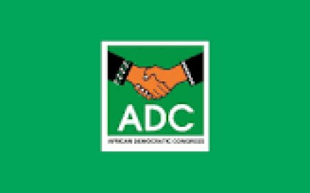 ADC, National Assembly Members Demand Suspension Of Gazetted Tax Laws Over Alleged Alteration, Forgery,
