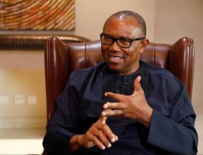 Peter Obi Lampoons Tinubu's Govt Over Budget Paddings, Forging Of Laws, Lack Of Transparency