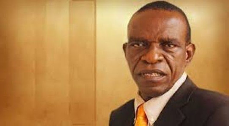 Presidency: Ndigbo, The North and the Path Forward