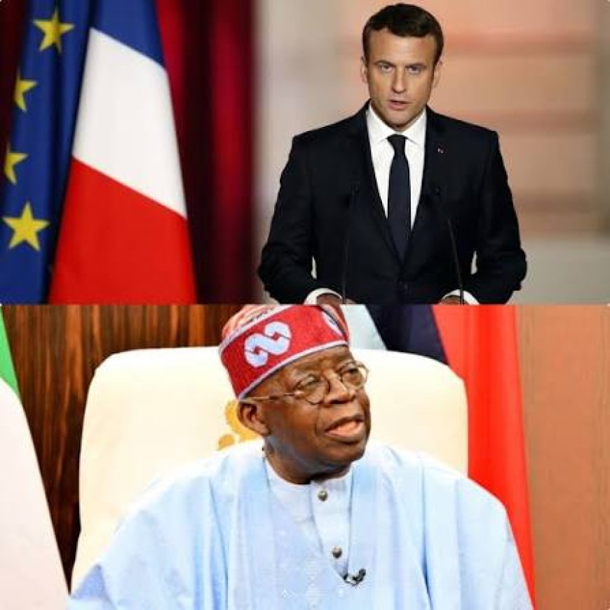 France: The Assimilating Nigeria's 'Tax Collector’