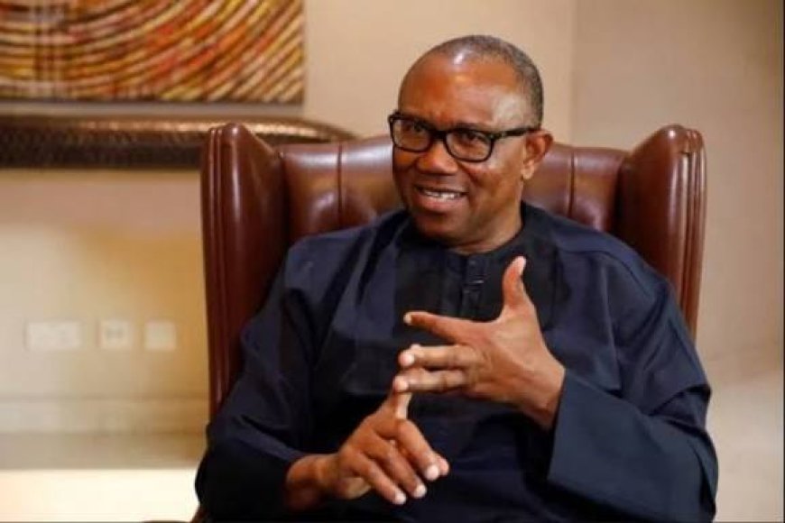 Peter Obi Lampoons Tinubu's Govt Over Budget Paddings, Forging Of Laws, Lack Of Transparency