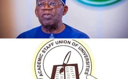 FG Approves ₦1.8m Annual Allowance For Professors, ₦870,000 For Readers