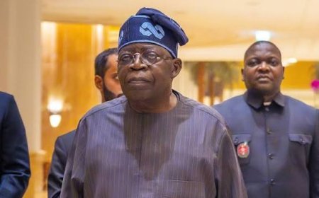 Nigeria Engages American lobbyist in a $9 Million Deal To Prevent President Trump From Invading County