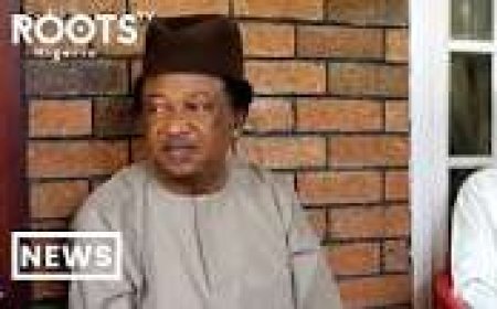 Terrorists Are Northerners, Not Foreigners, Says Shehu Sani