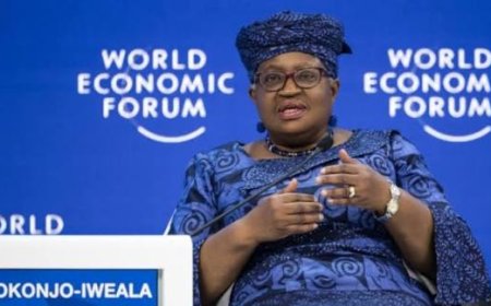Okonjo-:Iweala Urges Nigeria To Deliberately Target Global Investors At Davos: