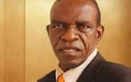 Trump in Our Eyes: A Nigerian Perspective.