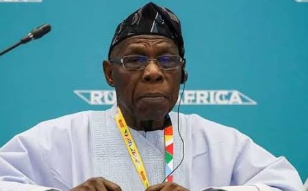Obasanjo Asked Ex-minister Agunloye To Add N11bn To Money Appropriated For Mambilla Project – Witness